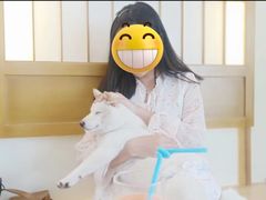 -柴犬小屋·柴餐厅·狗咖食堂(金鼎广场店)