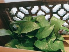 -四道菜·福建菜馆(万家广场店)