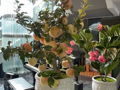 -茅庐·川粤精品私房菜(金沙遗址店)