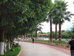-洛龙公园