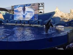-上海海昌海洋公园