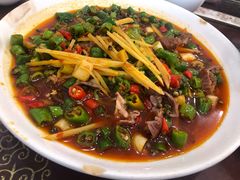 -糊涂兔毛毛菜(八里庄店)