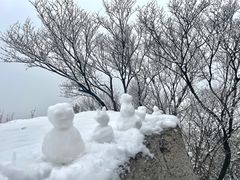 -千佛山风景名胜区