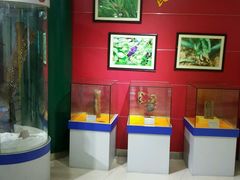 -上海昆虫博物馆