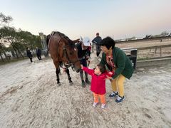 -松声马术俱乐部