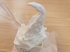 -野人先生Gelato(上海长宁龙之梦店)