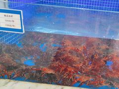 -香山湖渔家大院