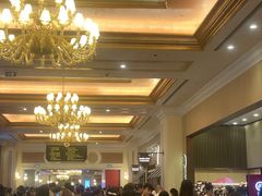 -澳门威尼斯人综合度假区