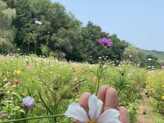 -萨尔浒风景区