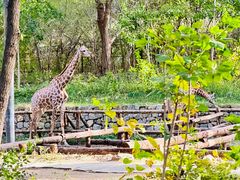 -北京野生动物园