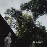 安静的吃个素食