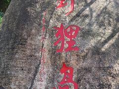 -野狸岛