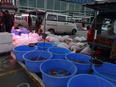 -中环花鸟鱼虫市场