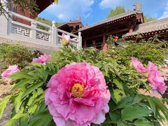 -方山国家森林公园