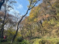 -句容茅山景区