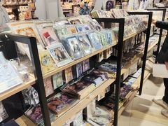 -IPSTAR|潮玩星球(天府广场店)