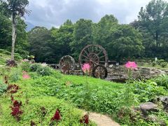 -广州市石门国家森林公园