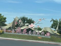 -老袁家蜜桃农场·阳山水蜜桃