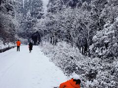 -武陵山森林公园