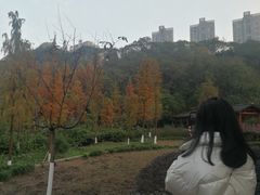 -重庆彩云湖湿地公园
