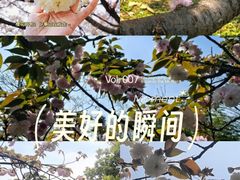 -团城山公园