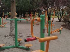 -莲花池公园