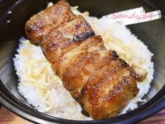 鳗鱼饭（小份）-平川日本料理