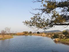 -良渚古城遗址公园
