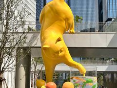 -深圳湾万象城(南山店)