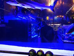 -漫步水族(金源珠宝古玩城店)