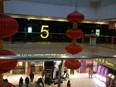 -保定金棕榈先天下国际影城(LUXE)