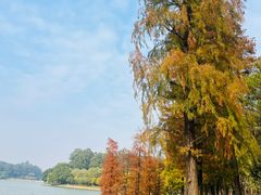 -南国桃园旅游度假区