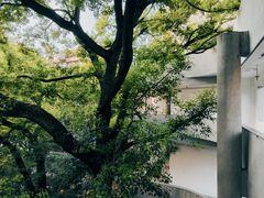 -湖北美术学院(昙华林校区)