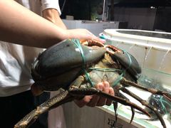 -海盗餐厅
