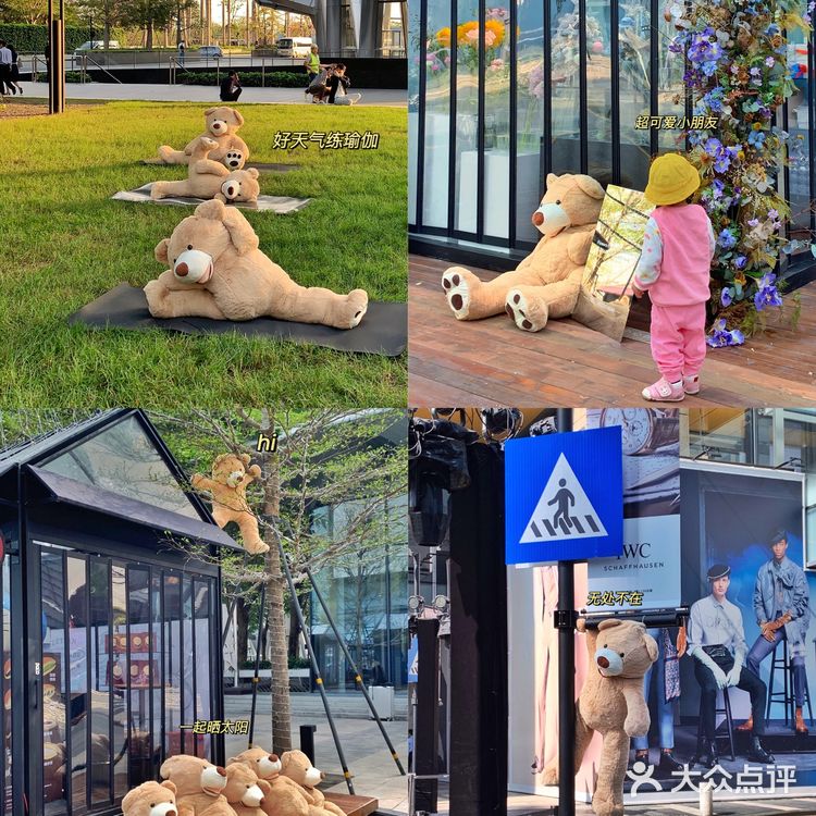 深圳拍照探店|首发🧸60只泰迪熊来袭啦!