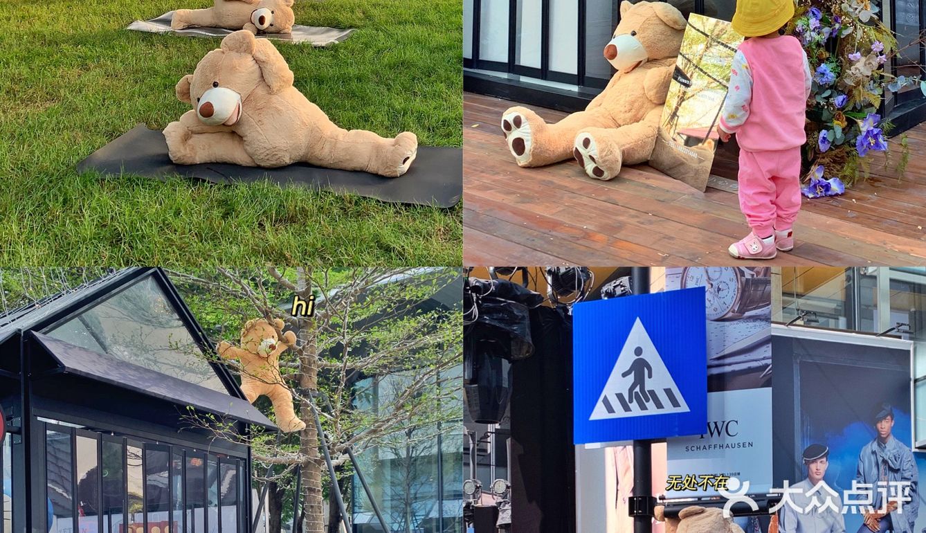 深圳拍照探店｜首发🧸60只泰迪熊来袭啦！