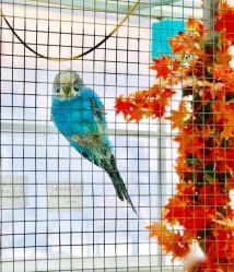 -萌宠亲子动物乐园(槐房万达店)