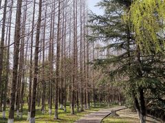 -南湖湿地公园