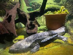 -太平洋海底世界