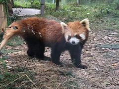 -仙芝竹尖生态园旅游景区