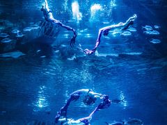 -福州罗源湾海洋世界旅游区