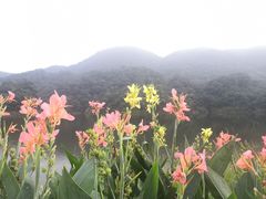 -广州市石门国家森林公园