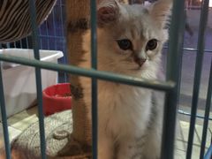 -赢吧Bliss音乐酒吧