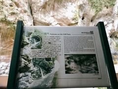 -太鲁阁公园