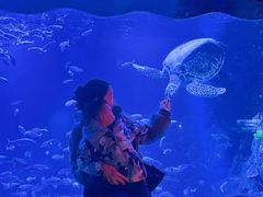 -太平洋海底世界