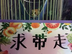 -星宿秘码(鼓浪屿老店)