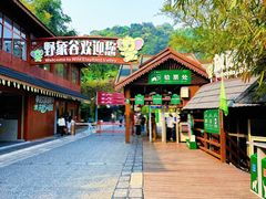 -野象谷景区