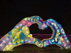 -广西壮族自治区药用植物园