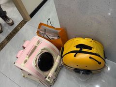 -宠颐生猫科·内科皮肤科(西平世纪城店)