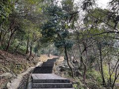 -北仑森林植物园